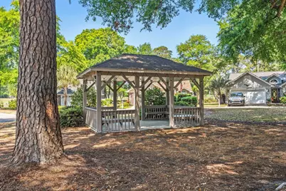210 Carrington Dr., Pawleys Island, SC 29585 - Photo 22