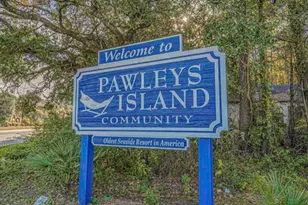 314 Tall Pines Way, Pawleys Island, SC 29585 - Photo 62