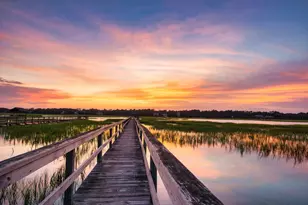 314 Tall Pines Way, Pawleys Island, SC 29585 - Photo 64