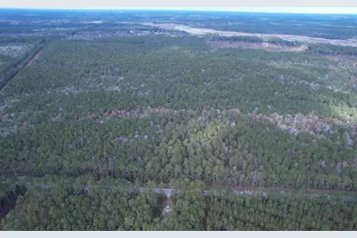 Tract C - Tbd Pennyroyal Rd., Georgetown, SC 29440 - Photo 10