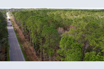 Tract C - Tbd Pennyroyal Rd., Georgetown, SC 29440 - Photo 8
