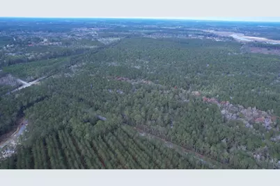 Tract C - Tbd Pennyroyal Rd., Georgetown, SC 29440 - Photo 12
