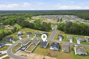 369 Palmetto Sand Loop, Conway, SC 29527 - Photo 40