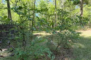 134 Lookout Dr, Cordova, SC 29039 - Photo 12