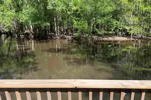 134 Lookout Dr, Cordova, SC 29039 - Photo 8