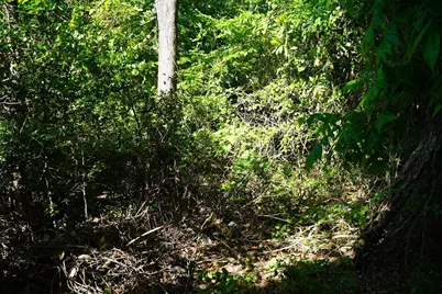 2304 Highmarket St., Georgetown, SC 29440 - Photo 24