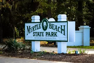 666 Mallard Lake Dr, Myrtle Beach, SC 29577 - Photo 22