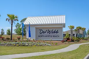 1254 Coneflower Wy, North Myrtle Beach, SC 29582 - Photo 60
