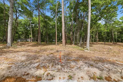 Tract B Jacks Circle Rd., North Myrtle Beach, SC 29582 - Photo 4