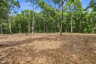 Tract B Jacks Circle Rd, North Myrtle Beach, SC 29582 - Photo 6