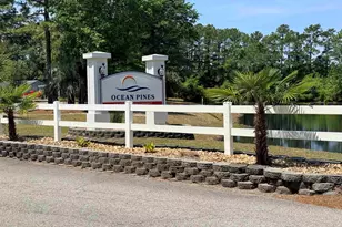 3339 Charleston Trail, Murrells Inlet, SC 29576 - Photo 48