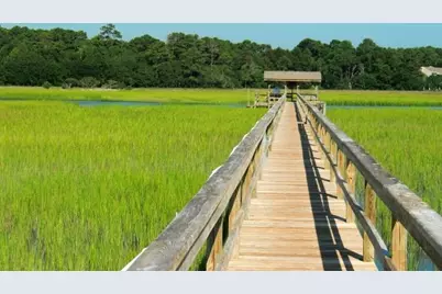 647 Norris Dr., Pawleys Island, SC 29585 - Photo 48