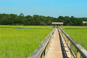 647 Norris Dr, Pawleys Island, SC 29585 - Photo 48