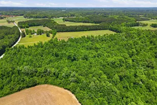 3910 Cascade Rd, Green Sea, SC 29545 - Photo 38