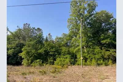 2716 W Highway 378 Hannah, Gresham, SC 29546 - Photo 2