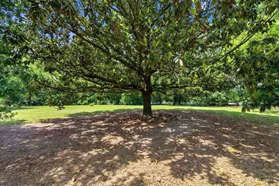 902 Grange Rd, Aynor, SC 29511 - Photo 60