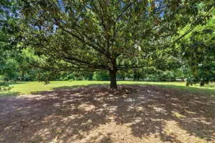 902 Grange Rd, Aynor, SC 29511 - Photo 60