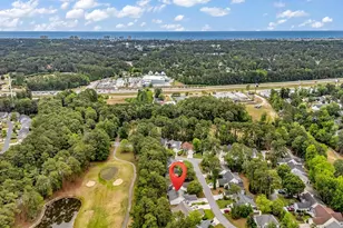9452 Pinckney Ln, Murrells Inlet, SC 29576 - Photo 50