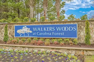 587 Tuckahoe Rd, Myrtle Beach, SC 29579 - Photo 62