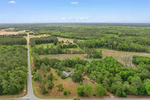 10201 Lake Swamp Rd, Nichols, SC 29581 - Photo 38