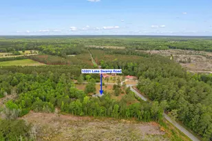10201 Lake Swamp Rd, Nichols, SC 29581 - Photo 44