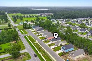 3133 Tiger Tail Rd, Conway, SC 29526 - Photo 38