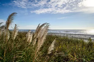 6309 N Ocean Blvd, North Myrtle Beach, SC 29582 - Photo 60