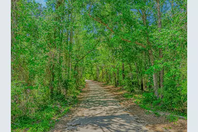 Tbd Piney Grove Church Rd, Gresham, SC 29546 - Photo 1