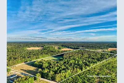 Tbd Chair Rd., Hemingway, SC 29554 - Photo 6