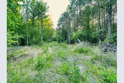 Tbd Chair Rd., Hemingway, SC 29554 - Photo 20