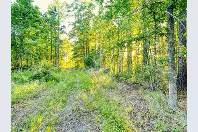 Tbd Chair Rd., Hemingway, SC 29554 - Photo 12