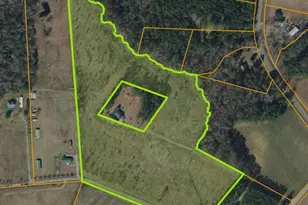 21 19 Acres Cane Branch Church Rd, Conway, SC 29527 - Photo 1