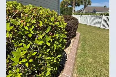 293 Southern Breezes Circle, Murrells Inlet, SC 29576 - Photo 40