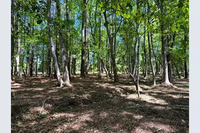 9904 Highway 17 North, McClellanville, SC 29458 - Photo 4