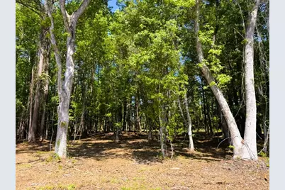 9904 Highway 17 North, McClellanville, SC 29458 - Photo 2