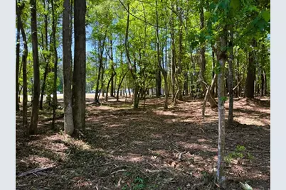 9904 Highway 17 North, McClellanville, SC 29458 - Photo 12