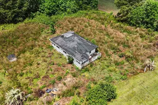 2149 Olive Dr, Green Sea, SC 29545 - Photo 4