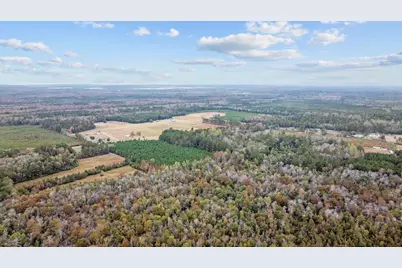 Lot 8 Creek Landing Rd, Nichols, SC 29581 - Photo 8