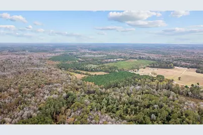 Lot 8 Creek Landing Rd, Nichols, SC 29581 - Photo 6