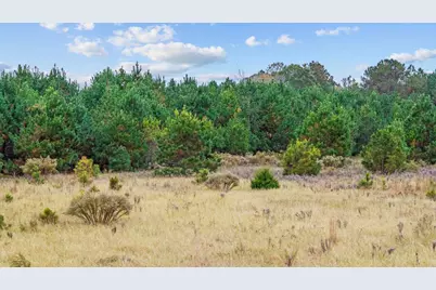 Lot 8 Creek Landing Rd, Nichols, SC 29581 - Photo 14