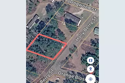 Tbd Holly Berry Ct., Andrews, SC 29510 - Photo 2