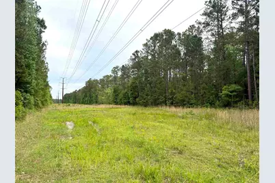 Tract A Pennyroyal Rd., Georgetown, SC 29440 - Photo 4
