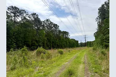 Tract A Pennyroyal Rd., Georgetown, SC 29440 - Photo 2