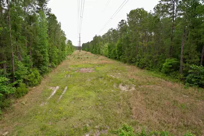 Tract A Pennyroyal Rd., Georgetown, SC 29440 - Photo 14