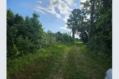 54.71Ac Willoughby Rd., Nichols, SC 29581 - Photo 2