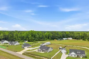 7716 Hunting Swamp Rd, Conway, SC 29527 - Photo 44