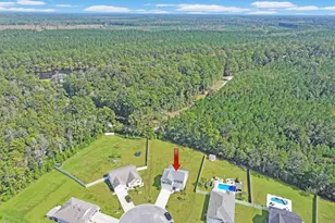 268 Carmello Cir, Conway, SC 29526 - Photo 32