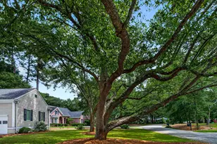 103 Goodson Loop, Pawleys Island, SC 29585 - Photo 6