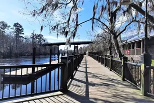 167 Palm Terrace Loop, Conway, SC 29526 - Photo 36