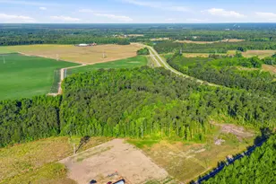 Tbd Sawyer Rd, Marion, SC 29571 - Photo 1